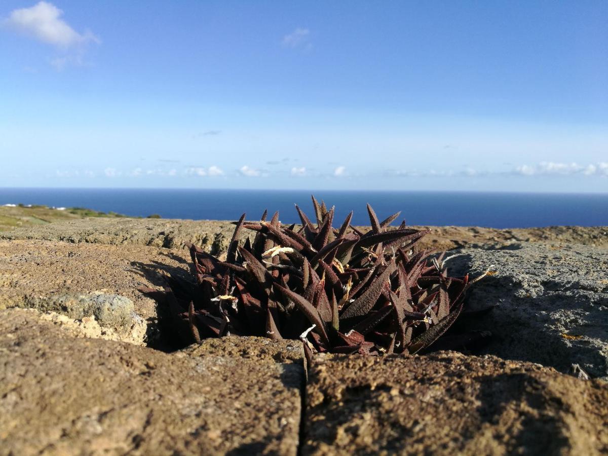Hotel Dammusi Il Carrubo Kamma Esterno foto
